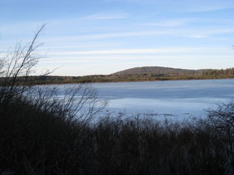 State Officials Approve 2016 Deer Management Plan for Blue Hills State Reservation
