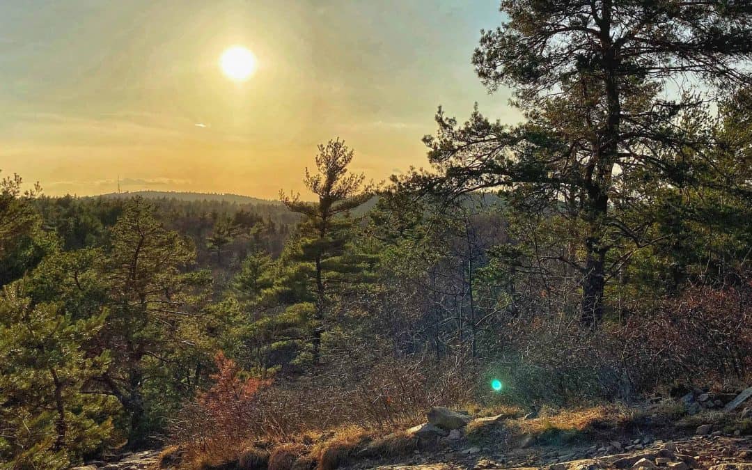 Hidden Gem Hike with Melissa
