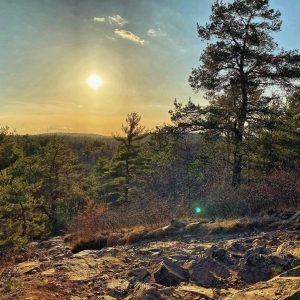 Hidden Gem Hike with Melissa @ Buck Hill, Blue Hills Reservation | Milton | Massachusetts | United States