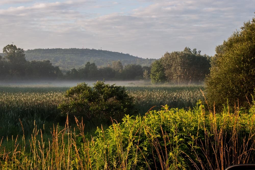 Important Update from the Friends of the Blue Hills