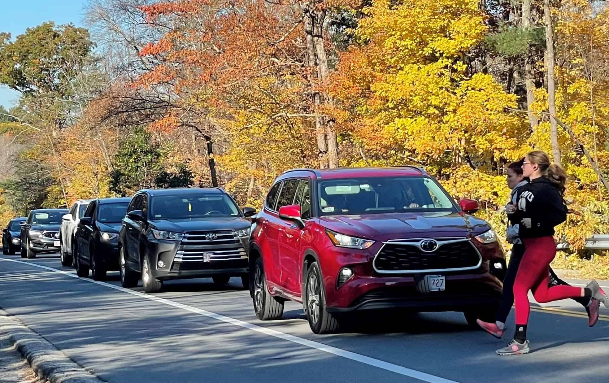 Friends’ Members Work to Improve Dangerous Crossing of Route 28 for Skyline Trail Hikers