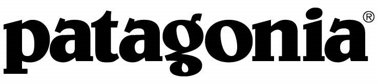 Patagonia logo no fitz roy
