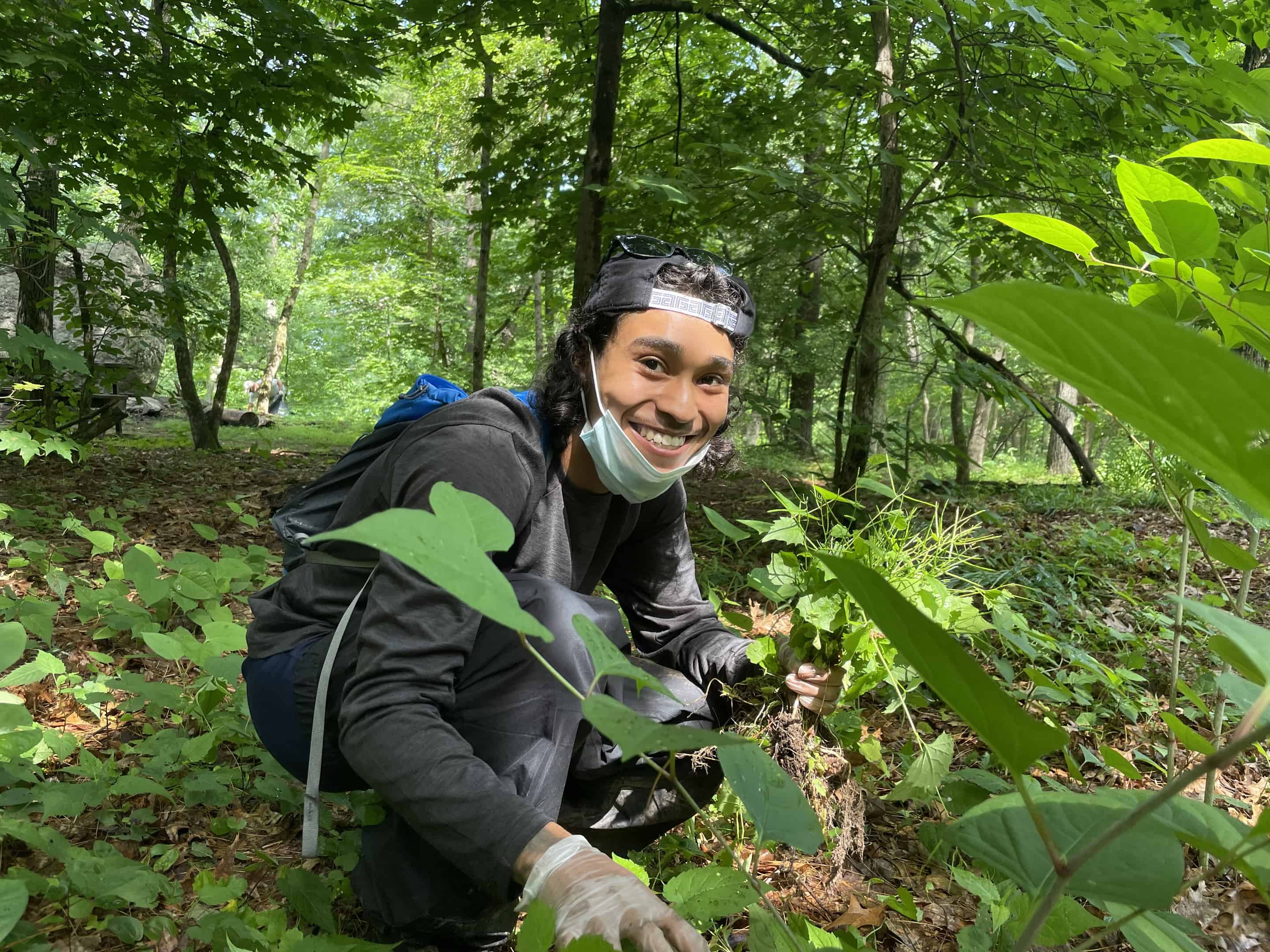 Weeding Wednesday -- Remove Invasive Species!