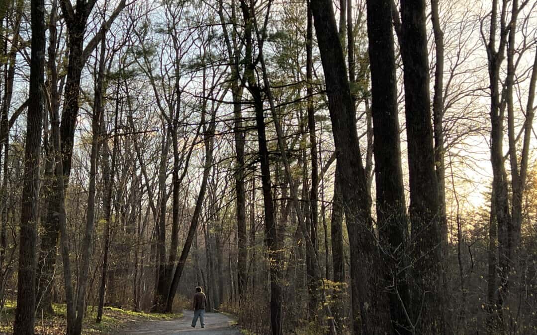 Trail Survey App Training