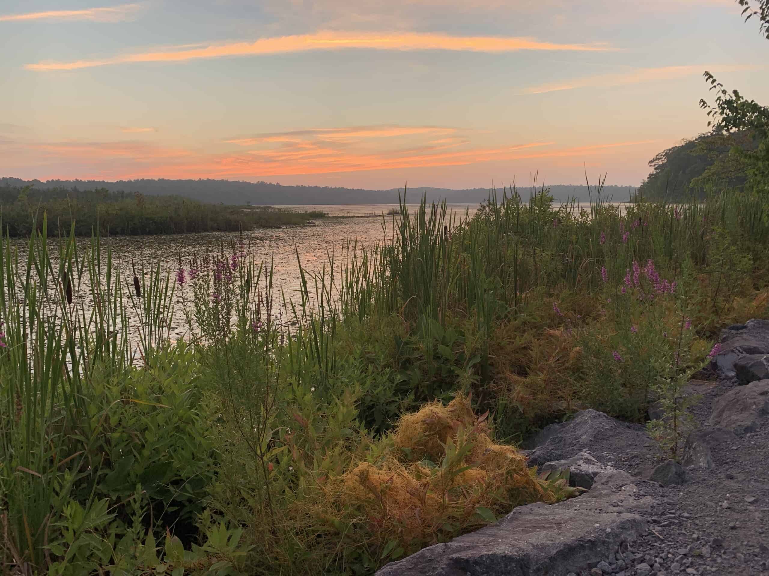 Canton Thomas McCaffery Dam at Dawn 1 jpeg