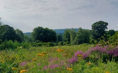 Public Land Preservation Act — Passed!