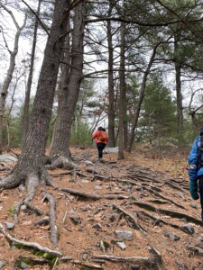 Hike with Rosa @ Houghton's Pond Recreation Area | Milton | Massachusetts | United States