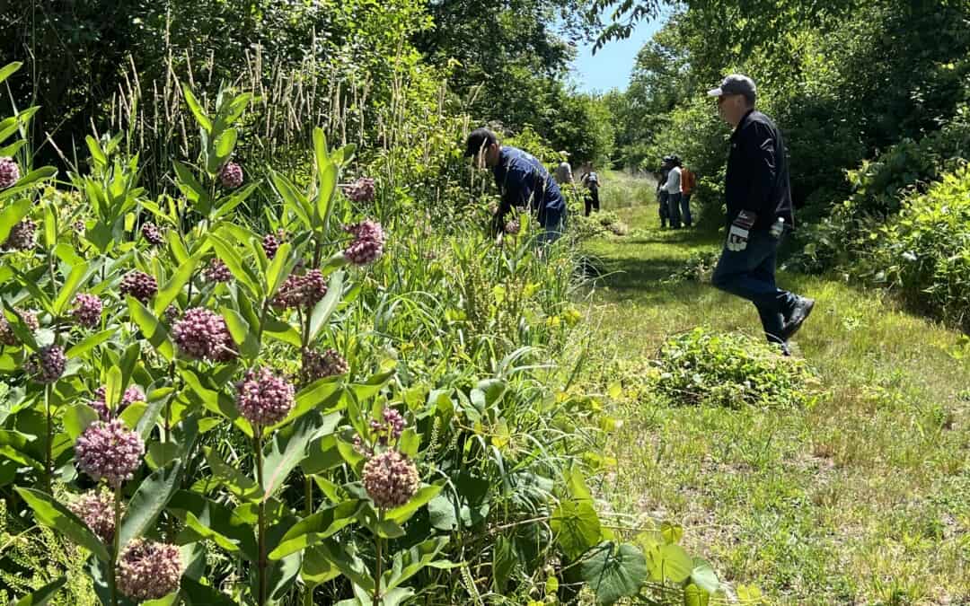 Invasive Removal or Trail Maintenance with Ruth