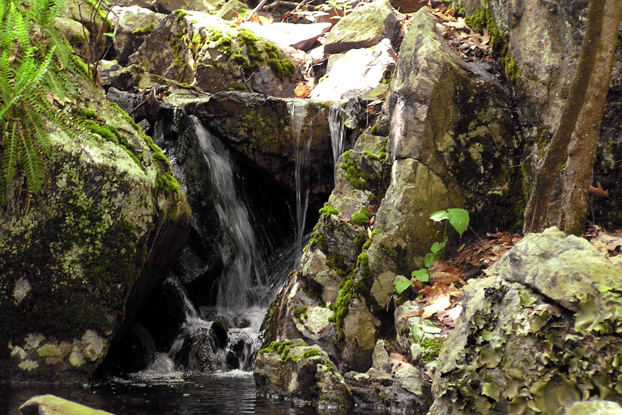 Hiking New England Trails: Author Talk with Jeff Romano