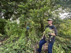 August Adopt-a-Forest Training @ Fowl Meadow parking lot | Milton | Massachusetts | United States