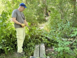 Invasive Plant Removal @ To be determined