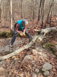 Hike and Work with Ruth @ Houghton's Pond Parking Lot | Milton | Massachusetts | United States