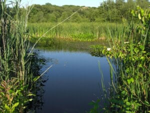 Annual Meeting: Neponset River Watershed Association (NepRWA) @ Meditech | Canton | Massachusetts | United States