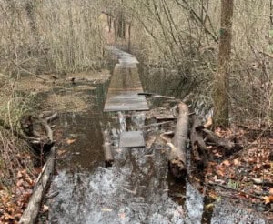 Flooding of St. Moritz boardwalk April 2024