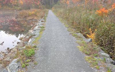 Q&A: Horseback Riding in the Blue Hills Reservation