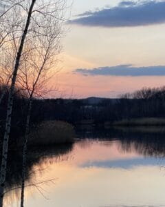 Evening Hike With Thomas @ Houghton's Pond | Milton | Massachusetts | United States