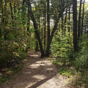 Your Morning 3-Miler @ TBD | Milton | Massachusetts | United States